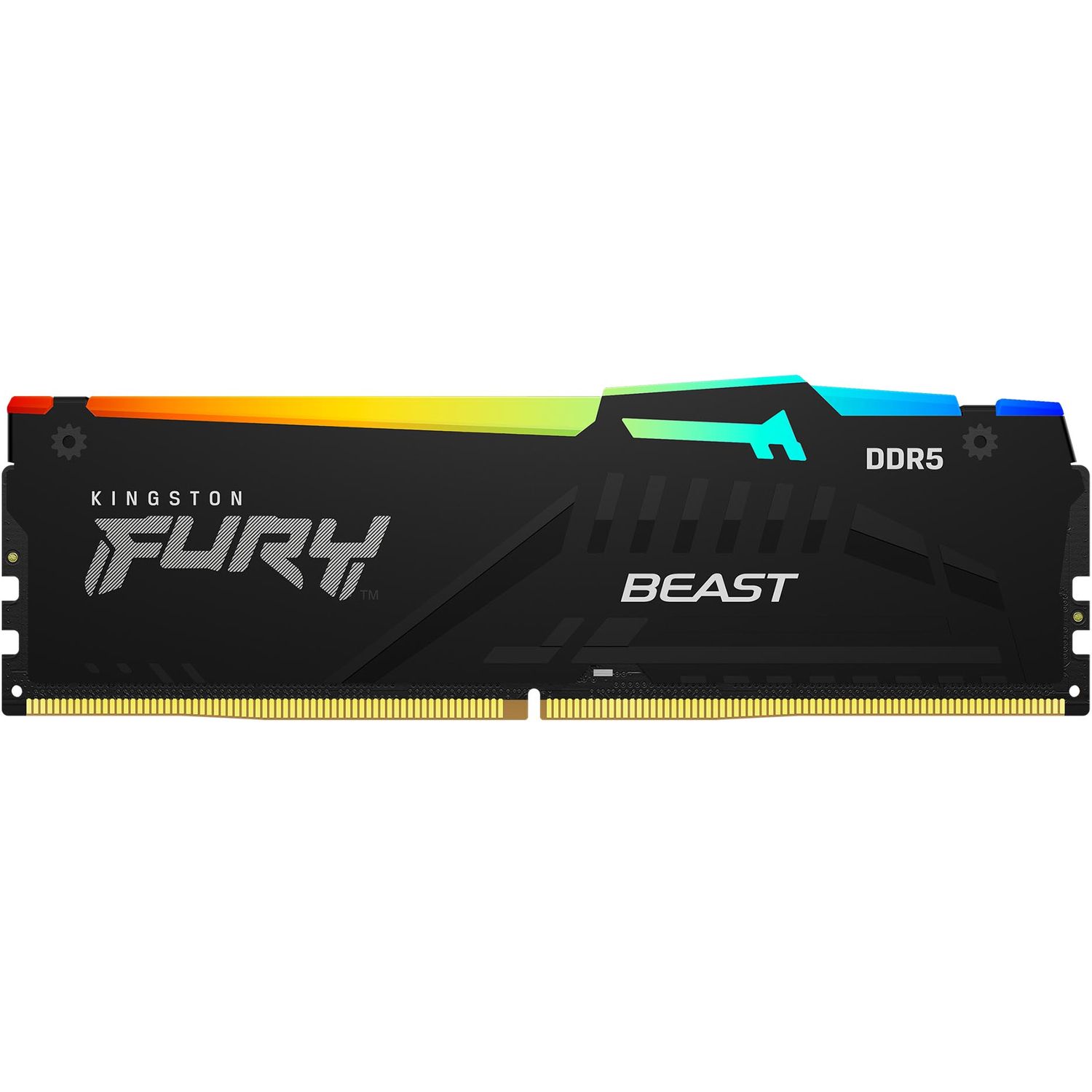 Память оперативная Kingston FURY Beast KF560C36BBEA-32