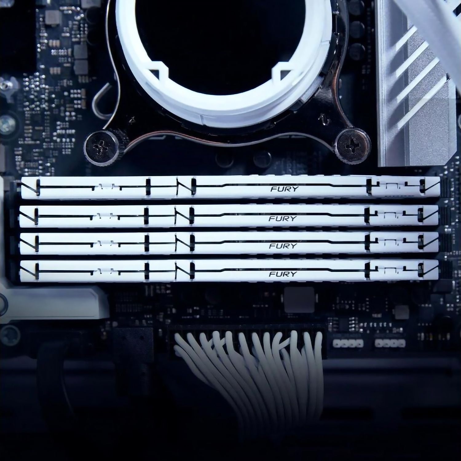 Память оперативная Kingston FURY Beast KF556C40BW-16