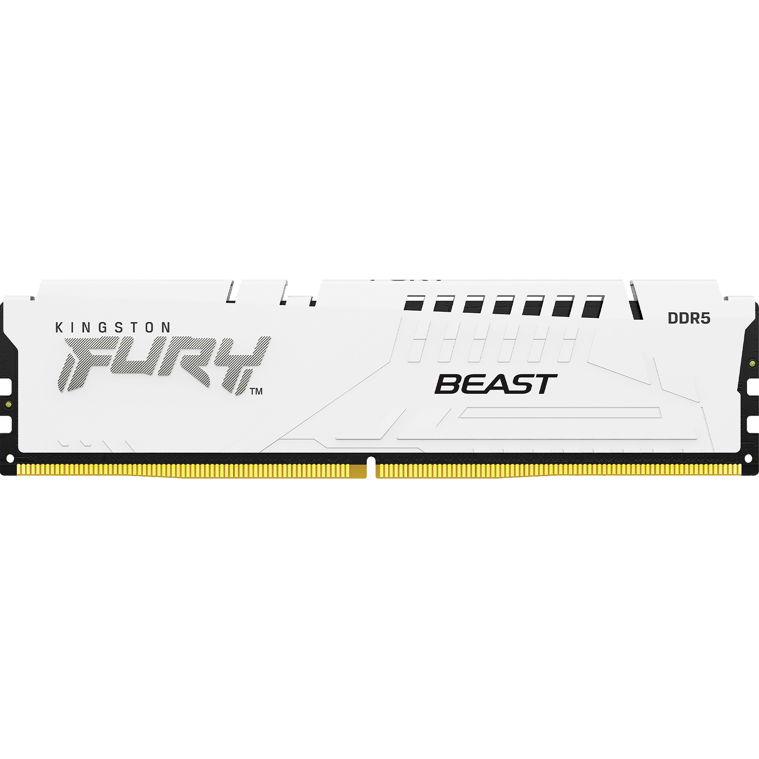 Память оперативная Kingston FURY Beast KF556C40BW-16